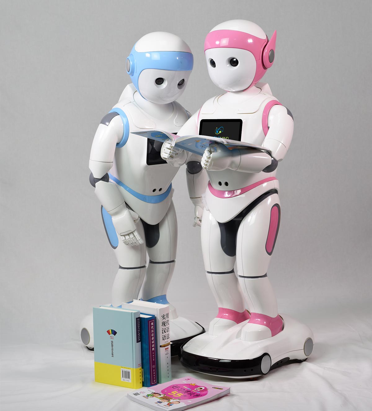 iPal and Social Robotics